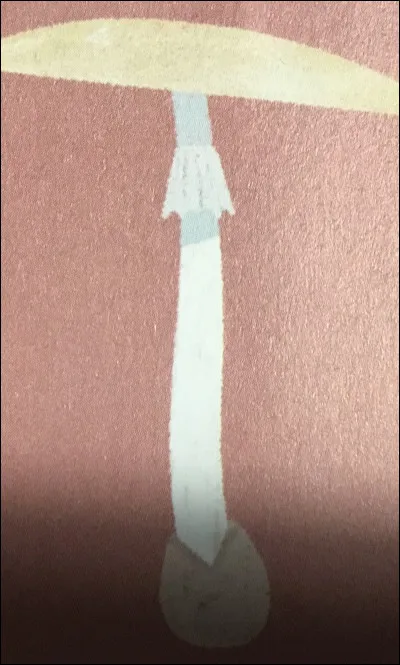 Quel champignon est-ce ?