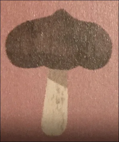 Quel champignon est-ce ?