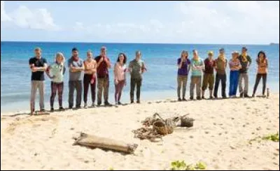 Qu'est-ce qu'il se passe lors de la réunification ?