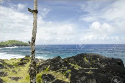 "Kingsman : services secrets" est le titre d'un film interprété par :