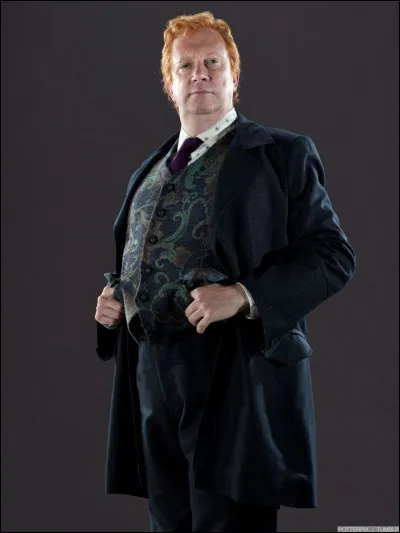Combien Arthur Weasley a-t-il de petits-enfants ?