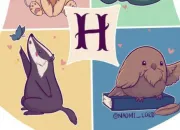 Test Quel professeur kawaii de Poudlard es-tu ?