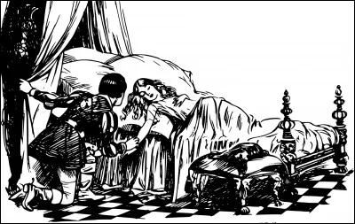 Dans l'histoire de la Belle au Bois dormant, comment la princesse Aurore s'endort-elle ?