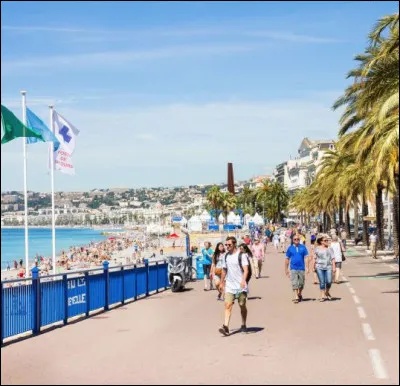 Ton crush sort faire une petite promenade :