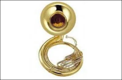 Quel est cet instrument ?