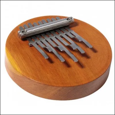 Quel est cet instrument ?