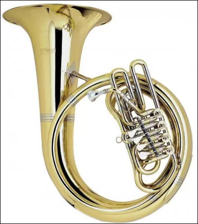 Quel est cet instrument ?