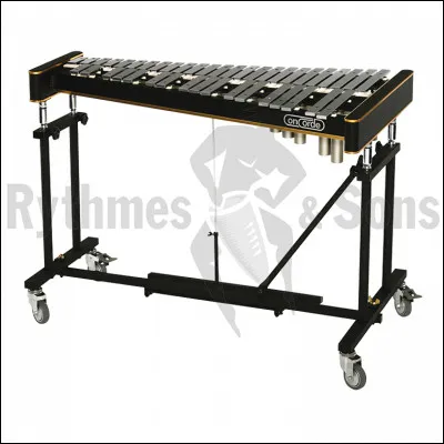 Quel est cet instrument ?