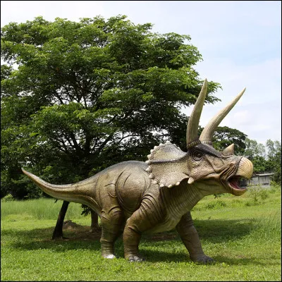 Que mangeait le Tricératops ?