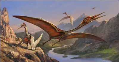Le Quetzalcoatlus avait une envergure de :
