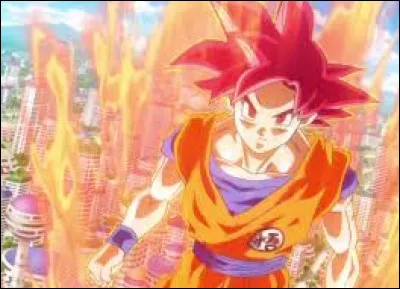 Dans le film ''Battle of Gods'' qui se transforme en Super Saiyan Divin ?