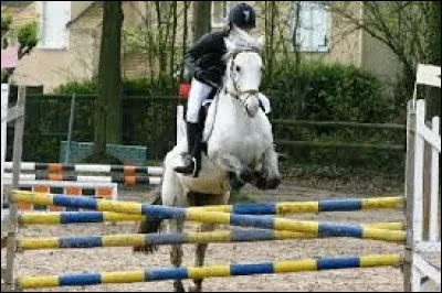 Cet obstacle est un :