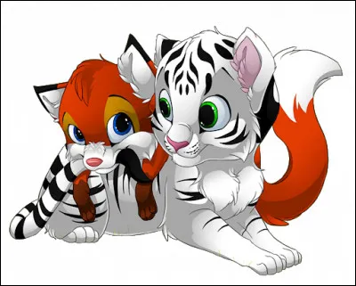 Quel est ton animal préféré ?