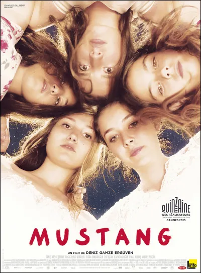 Où se passe l'histoire dramatique dans le film "Mustang" ?