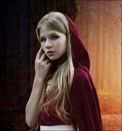 Le Petit Chaperon Rouge n'a pas toujours connu la version douce. Dans le conte traditionnel, aucun chasseur pour venir libérer la fillette et sa grand-mère. Quel est le sens caché que cette histoire apportait aux fillettes d'autrefois ? (plusieurs réponses possible)