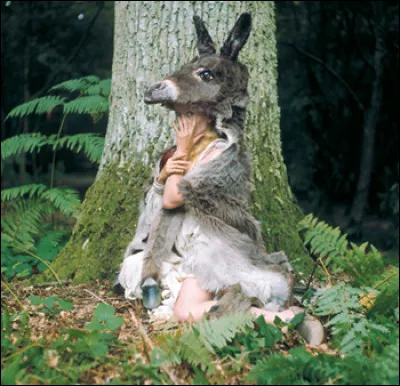 Peau d'Âne, princesse mystérieuse dont le nom est oublié. Ce conte fut longtemps passé sous silence, pour une raison. Laquelle ?
