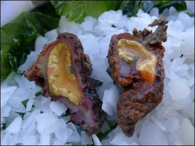 Quel est l'autre nom du ''violet'', animal marin comestible ?