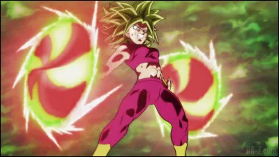 Au tournoi du pouvoir, quel est le nom de la fusion de Kale et Caulifla ?