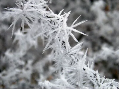 "Givré !", film américain sortit en 2007, a été réalisé par...