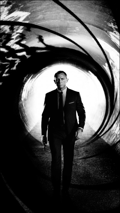 Il y a eu, au total, 8 acteurs ayant interprété le rôle de James Bond.