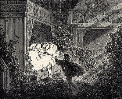 Quelle princesse d'un conte de Perrault se fait réveiller d'un long sommeil de 100 ans par le baiser d'un prince charmant ?
