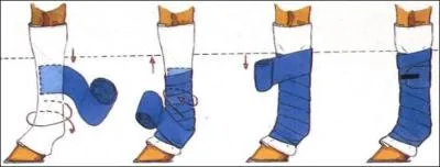 Ton cheval voyage dans un van, il ne faut pas oublier de lui mettre...