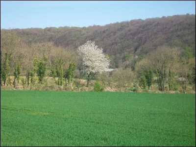 Où situez-vous le célèbre "Cur de Voh", immortalisé par le photographe Yann Arthus-Bertrand dans "La Terre vue du Ciel" ?
