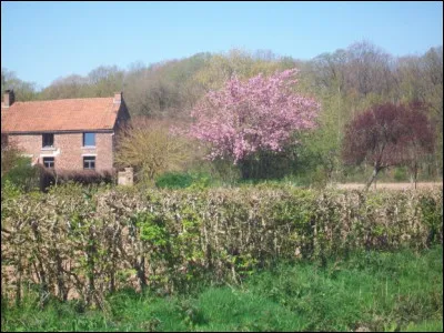 Dans quel pays trouverez-vous la ville de Cur d'Alene ?