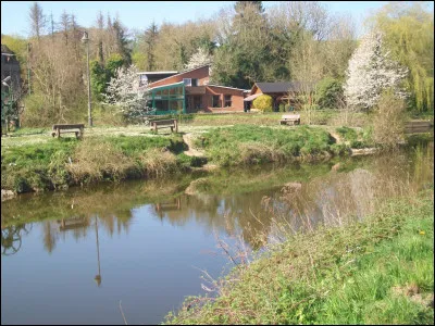 Que signifie l'expression "avoir un cur de pierre" ?