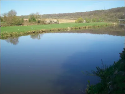 Selon une autre expression, lorsqu'on est très généreux, sur quoi a-t-on le cur ?