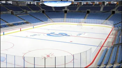 Au centre du bateau, sur ce grand terrain à glace peut se pratiquer le hockey ou encore la patinoire. Comment s'appelle la zone où se trouve les chaises bleues tout autour de celui-ci ?