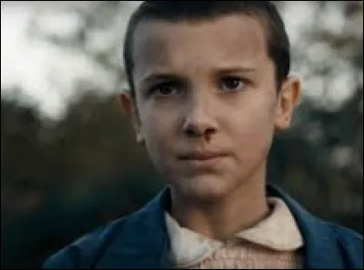 Quelle est la couleur de la perruque que donne Mike à Eleven dans la saison 1 ?