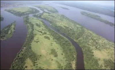 Quel fleuve a le deuxième plus gros débit ?