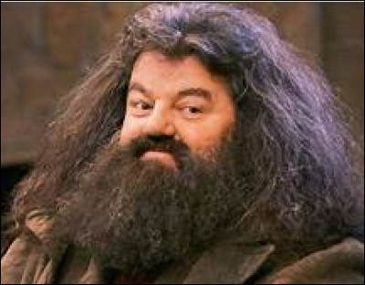 Avec qui Hagrid est-il allé voir les géants dans le 5e tome ?