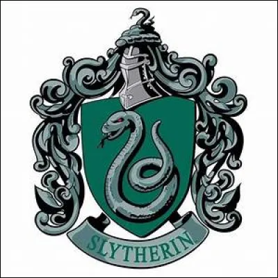 Quel balai les Serpentard ont-ils en 2e année ?