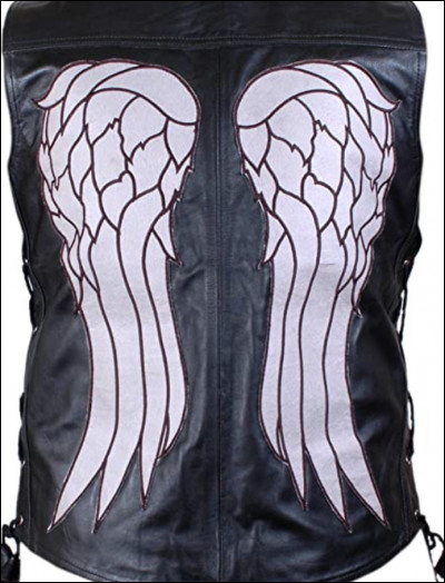 Quel personnage a une veste en cuir avec des ailes dans le dos ?