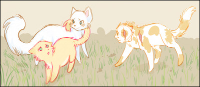 Pourquoi Cur Blanc faisait-elle la tête à son compagnon ?