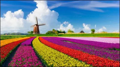 Quelle est la capitale des Pays-Bas ?