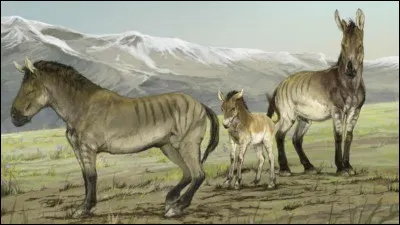 &Agrave; quelle tribu le chef indien Crazy Horse appartenait-il ?