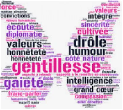 Quelle qualité te correspond le plus ? (C'est ton avis, pas celui des autres.)