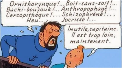 Capitaine Haddock > Pour lui, il faudrait ouvrir un catalogue redoutable ! Dans la série des "bougre de/d ...", lequel parmi ceux-ci n'a-t-il JAMAIS prononcé ?