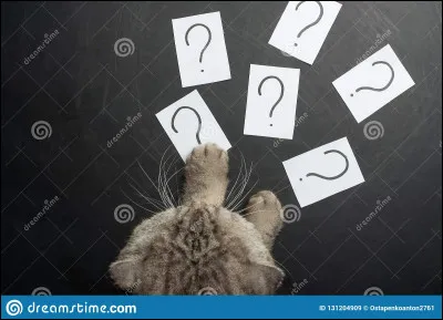 Lequel de ces fauves vit dans les forêts d'Amérique ?