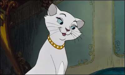 Quel est le nom de cette gracieuse chatte ?