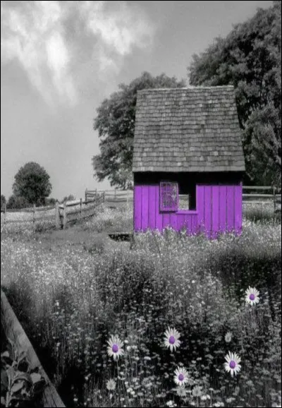 Où est né l'écrivain Jean Giono ?