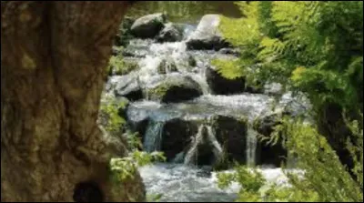 Aimes-tu la nature ?