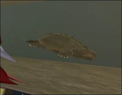 Quel est le nom de cette tortue considérée comme étant la plus grande tortue d'eau ?