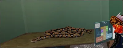 Comment appelle-t-on ce serpent qui un des plus long du monde, puisqu'il peut mesurer jusqu'à 4 mètres ?