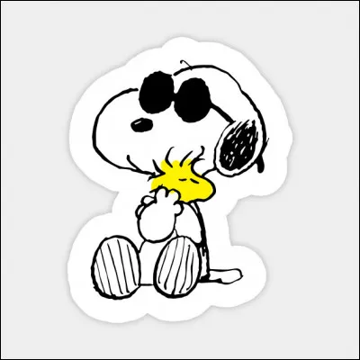 Qu'est-il écrit sur le tee-shirt de Snoopy quand il a des lunettes de soleil ?