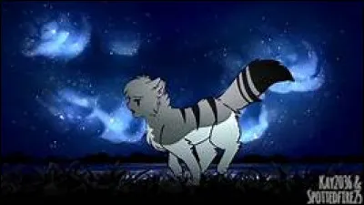 Qui étaient les mentors de Feuille de Lys ?