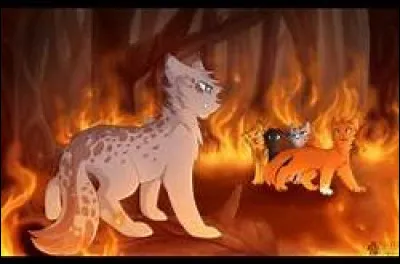 Où Pelage de Granit a-t-il fini sa vie ?